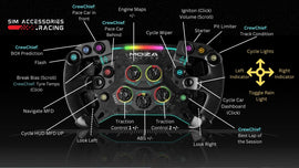 MOZA GS Steering Wheel Settings for ACC (Assetto Corsa Competizione)